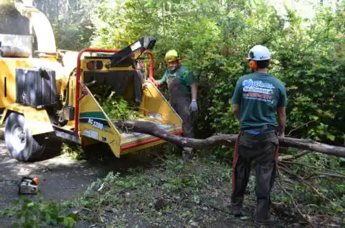 tree services Farmer City